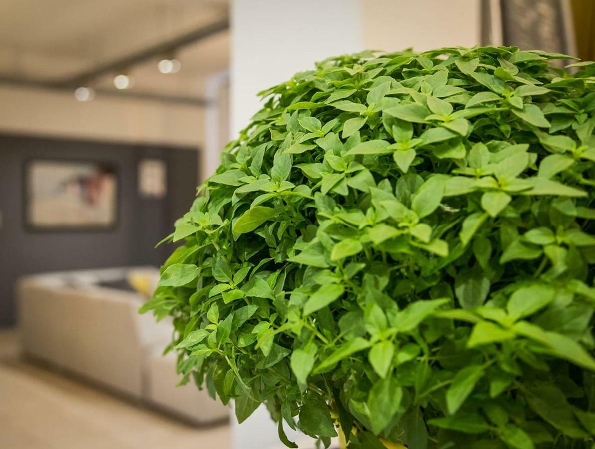 Renovated Loft At The Center Of Monastiraki Apartment เอเธนส์ ภายนอก รูปภาพ